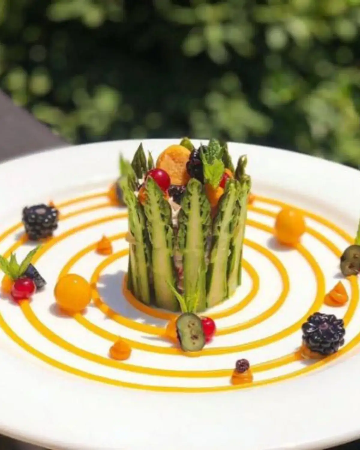 Asperges vertes, rillettes de saumon et agrumes — cuisine gastronomique chef privé Sean