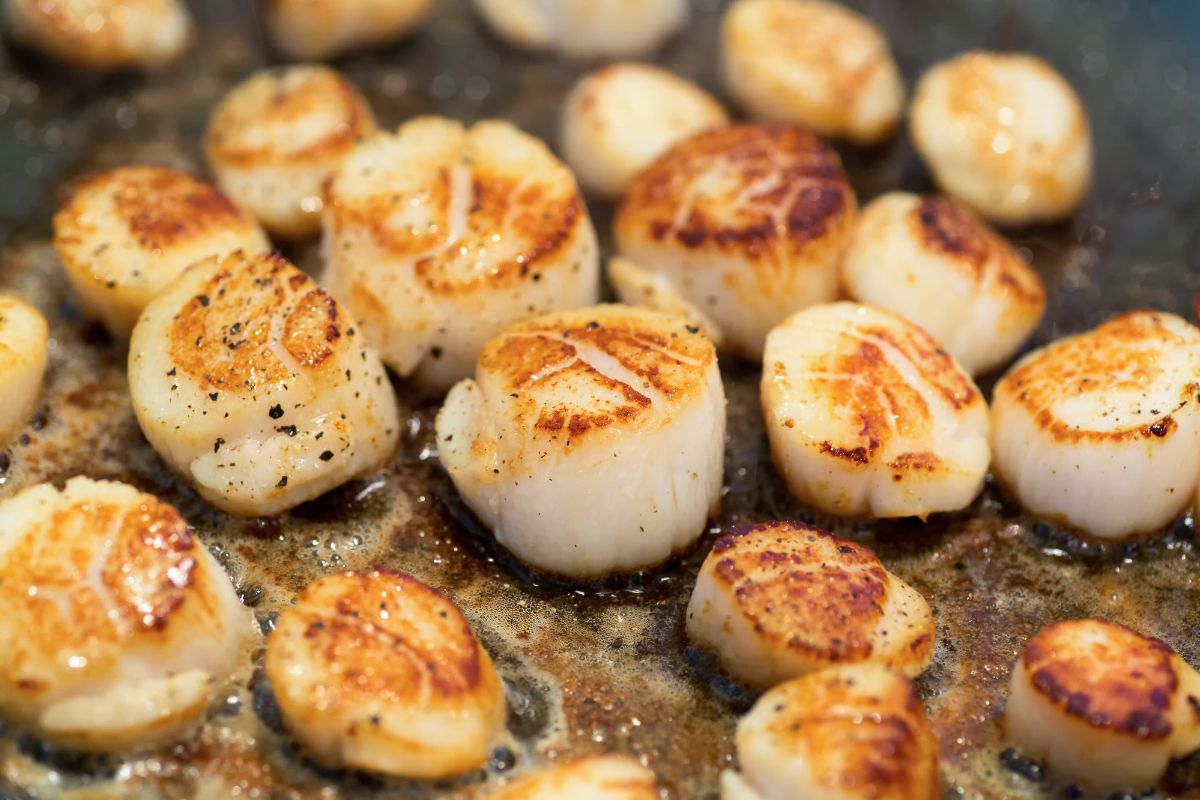 Recette Saint-Jacques : 7 idées créatives pour sublimer les coquilles à la maison